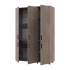 Kleiderschrank Doros Thorn Cremona Cannolo 3 Türen Kleiderstange 135x51,6x200 (44900475)