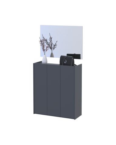 Schuhschrank Doros Kassel mit Spiegel Graphit 3 Türen 97×40×110 (42005497)