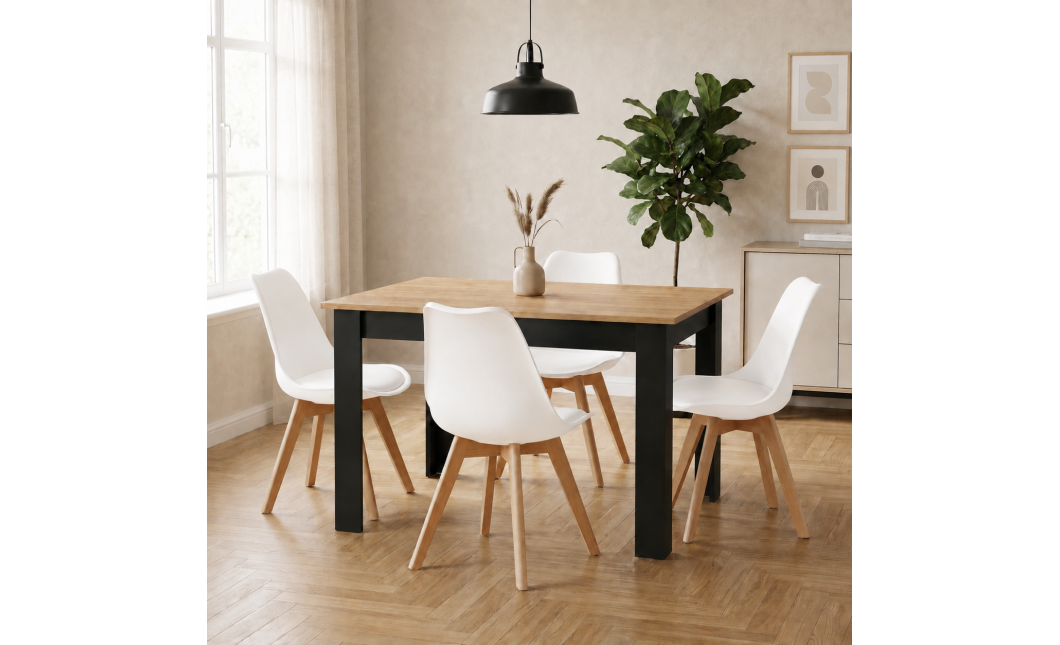 Essgruppe: Tisch NP 120x80 Craft / Schwarz + 4 Stühle MARK Weiß (100408164)