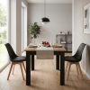 Essgruppe: Tisch NP 120x80 Craft / Schwarz + 2 Stühle MARK Schwarz (100408192)
