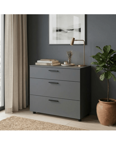 Kommode Doros Thorn Anthrazit 3 Schubladen 90x51,6x80 (41510161)