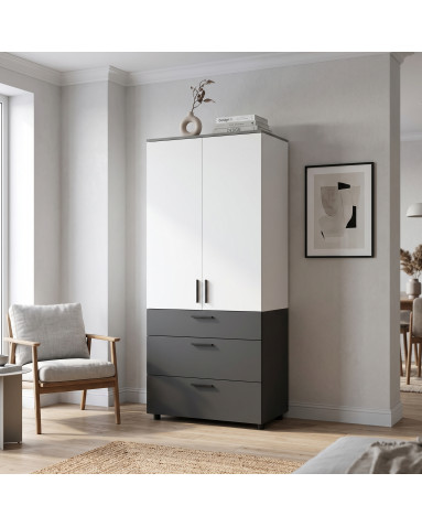 Kleiderschrank Doros Thorn Anthrazit/Weiß 2 Türen 3 Schubladen Böden 90x51,6x200 (44900470)