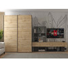 Kleiderschrank Doros G-Caiser Schiebetüren Anthrazit Ewok Eiche 2 Türen 160x60x240 (42005414)