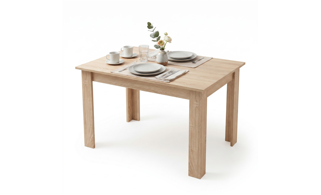 Tisch NP 120x80 Sonoma Eiche (100153861)