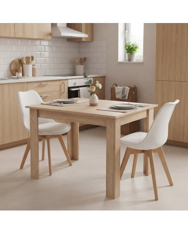 Tisch NP 120x80 Sonoma Eiche (100153861)