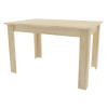 Tisch NP 120x80 Sonoma Eiche (100153861)