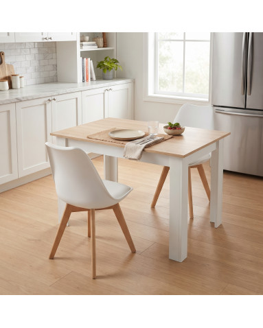 Tisch NP 120x80 Sonoma Eiche + Weiß (100153871)