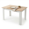 Tisch NP 120x80 Sonoma Eiche + Weiß (100153871)